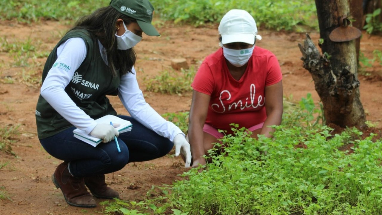 Senar Alagoas atende 300 produtores na primeira fase do Programa Agronordeste