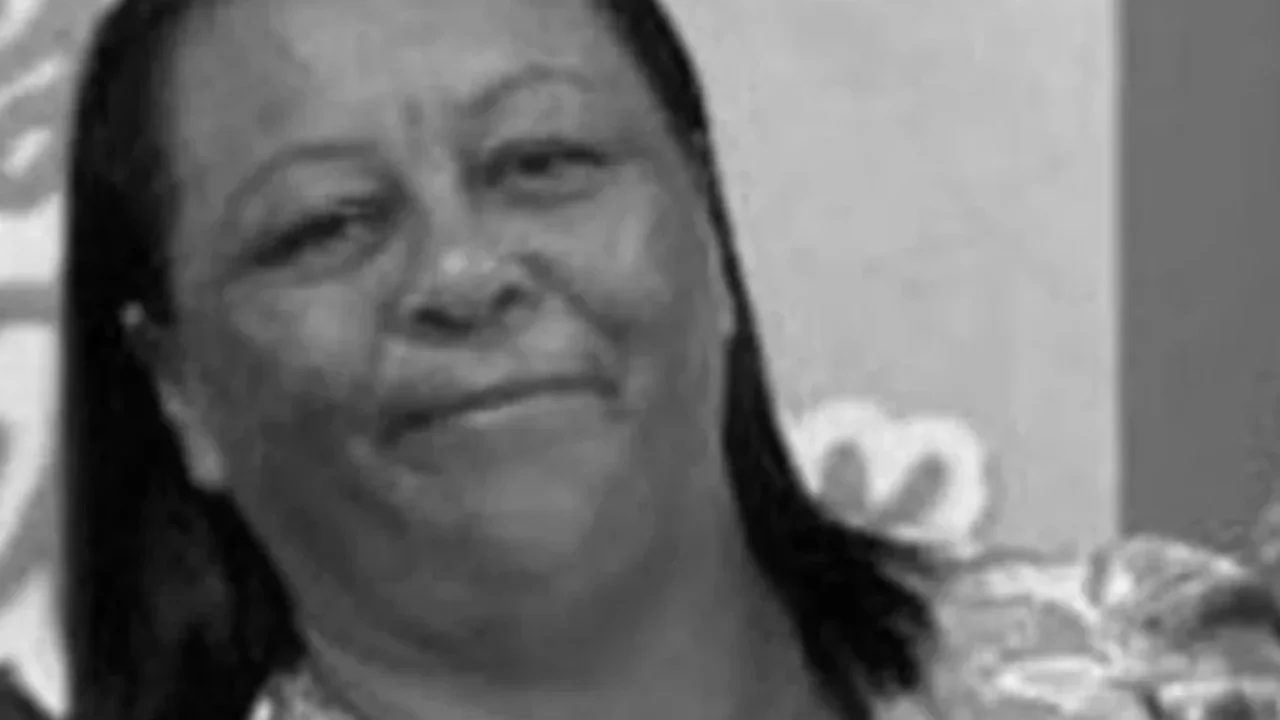 Manicure atropelada por ônibus na AL-220 morre após dois dias internada em Arapiraca