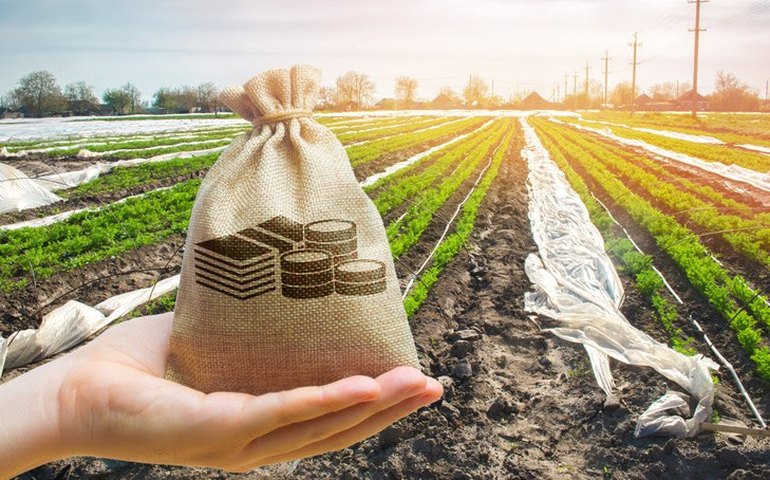 Boletim mostra o crescimento das finanças privadas no setor agropecuário