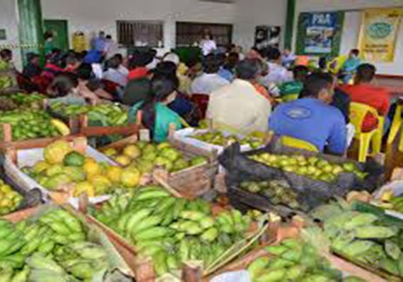 Estado potencializa Programa de Aquisição de Alimentos a 800 famílias