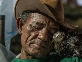Foto premiada pela NatGeo retrata tragédia socioambiental em Maceió