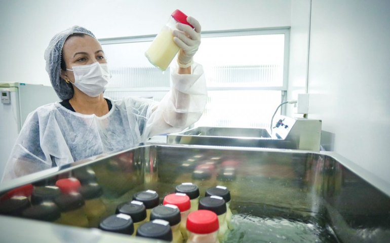 Banco de Leite Humano: há 17 anos salvando e transformando vidas em Arapiraca