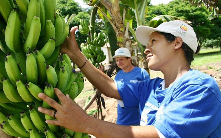 Mulheres agricultoras terão prioridade no fornecimento para merenda escolar