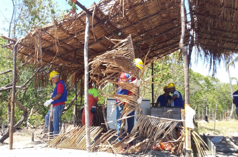 Sempma realiza operação em área de mangue no litoral Norte