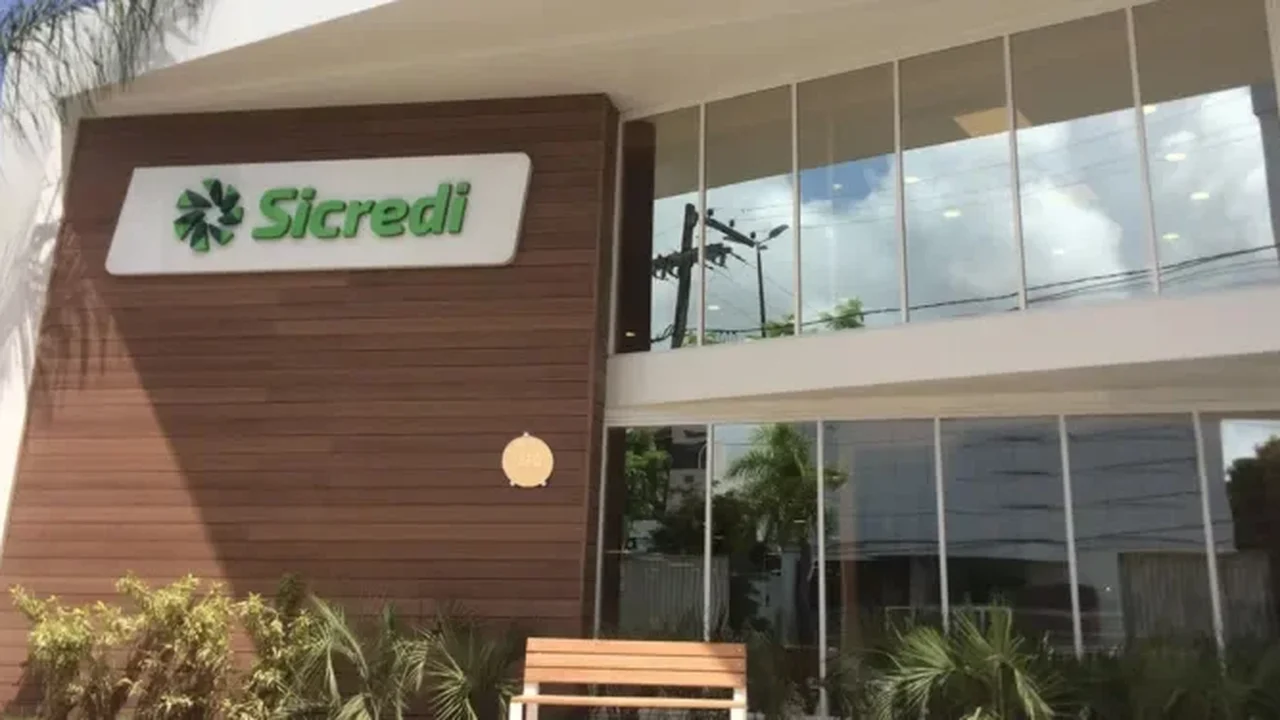 Dia Internacional do Cooperativismo: Sicredi anuncia crescimento de 20% em Alagoas