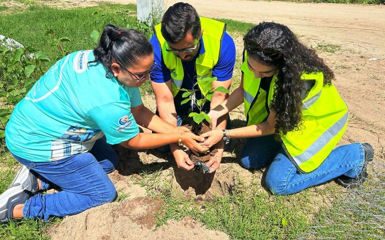 Pão de Açúcar planta futuro com ações ambientais e educação ecológica
