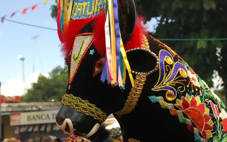 Festival de Berlim: 'Betânia' leva Bumba Meu Boi e é aplaudido