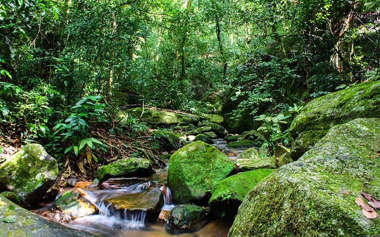 Sancionada lei que reforça Fundo Nacional do Meio Ambiente