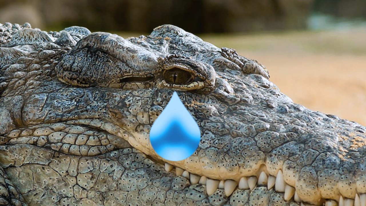 A inauguração do açude e as lágrimas de crocodilo