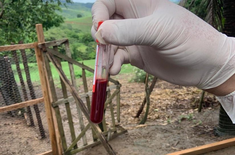 Adeal realiza coleta de amostras em aves para análise do Ministério da Agricultura