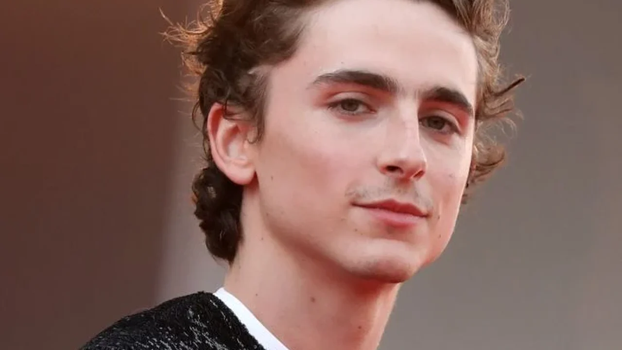 Timothée Chalamet perde aura de queridinho de Hollywood após dizer que 'ninguém se importa com ópera e balé'