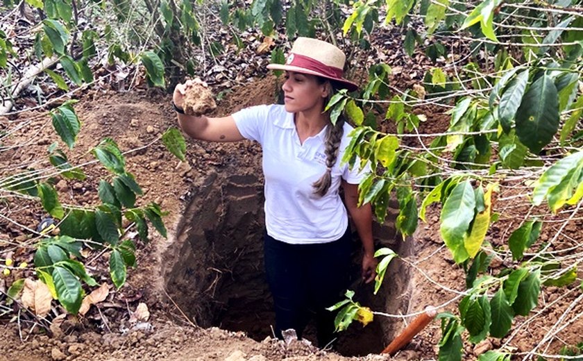 Pesquisa da Uesb aponta que agroflorestas contribuem com o crédito de carbono