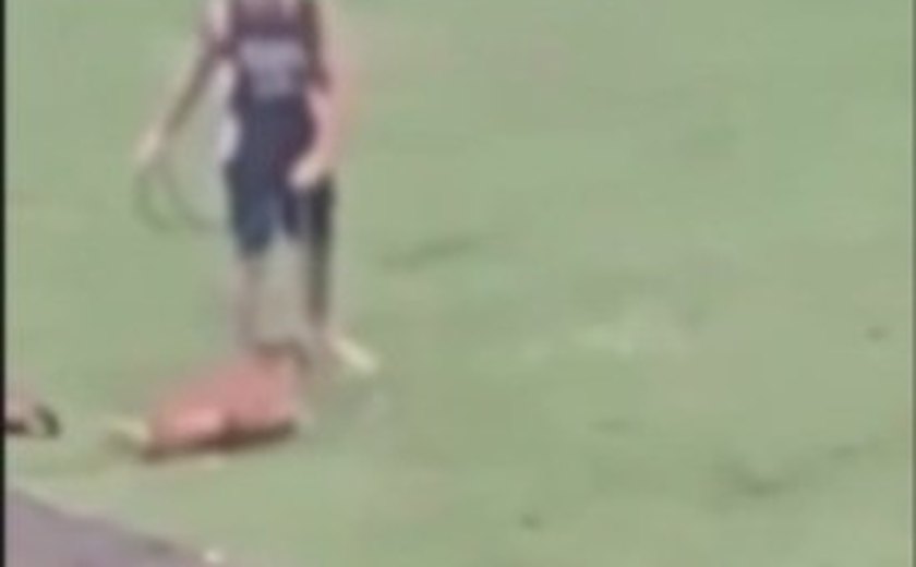 Funcionário de Centro de Equoterapia e Zooterapia é indiciado por maus-tratos contra cadela