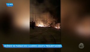 Incêndio Parque dos Cajueiros