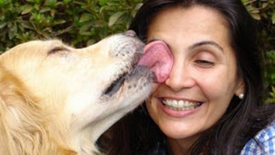 Nem sempre os cães lambem seus donos por amor
