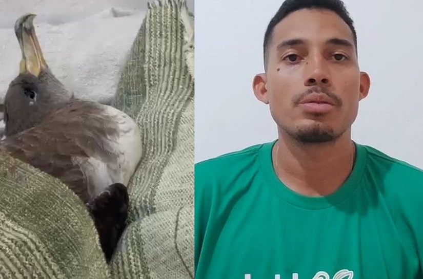 Instituto Biota alerta para risco de gripe aviária em aves em Alagoas