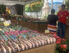 WhatsApp Image 2026-04-14 at 13.26.28.jpeg 