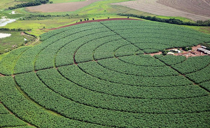 Decreto que altera legislação deve simplificar registro de produtos