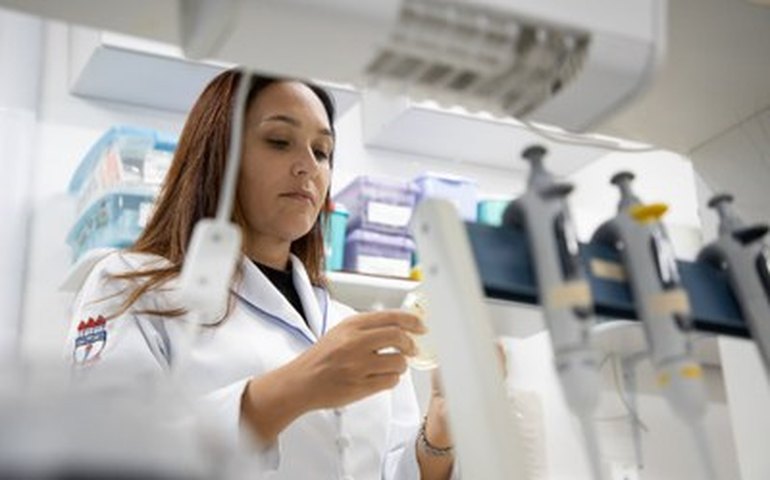Cientistas da Ufal descobrem em Alagoas 14 novas espécies ou gêneros de fungos