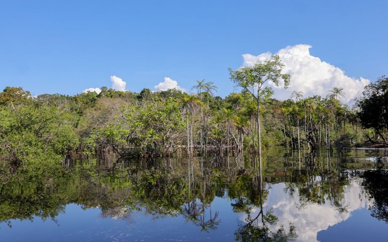 Governo federal mobiliza R$ 179 bilhões desde 2023 para transição ecológica