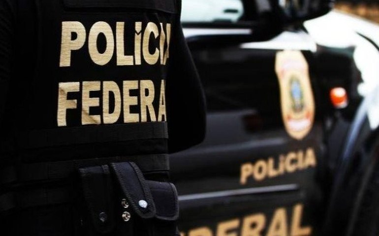 PF faz buscas em SP em operação contra o comércio de marfim de elefante