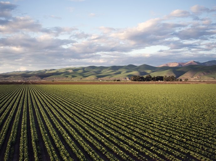 Safra em alta reforça a importância dos chicotes elétricos nas máquinas agrícolas