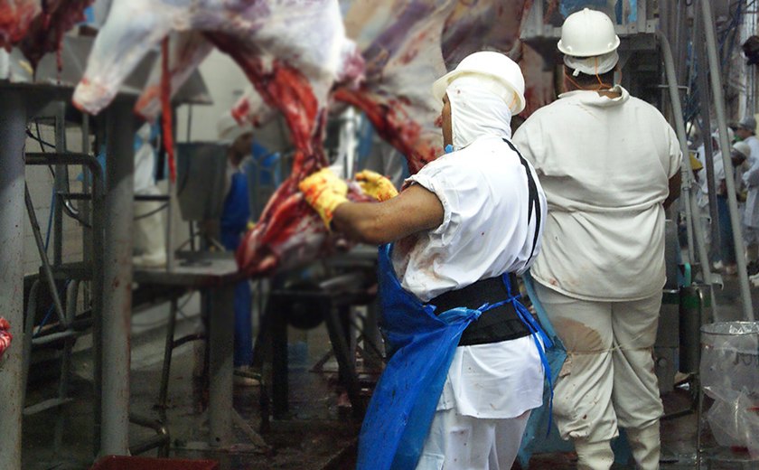 Brasil precisa agir o quanto antes, diz União Europeia sobre exportação de carne