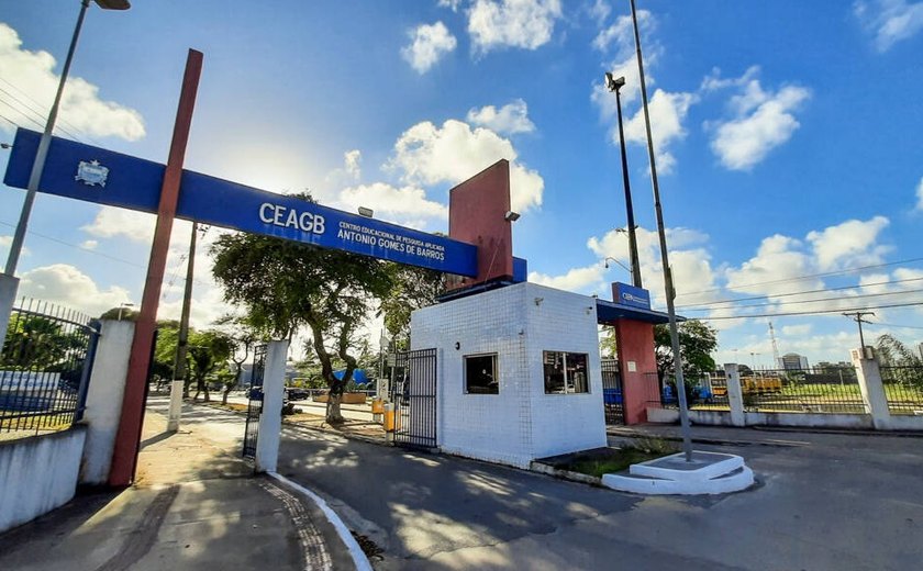 Denúncia de Racismo em Escola Estadual de Maceió Sob Investigação