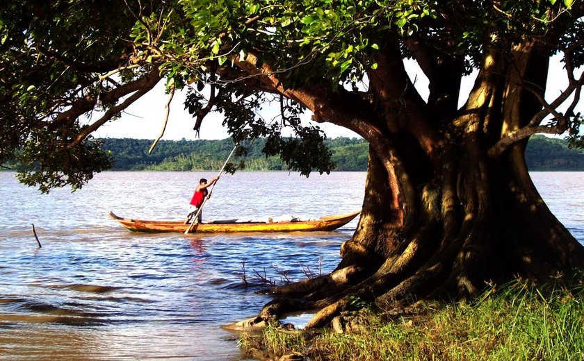 Cinema à beira da Lagoa: Cine Manguaba realiza sua primeira edição em Marechal Deodoro