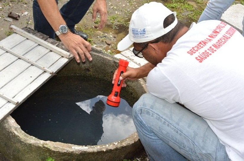 Saúde: Força-tarefa para combate ao Aedes aegypti começa dia 5