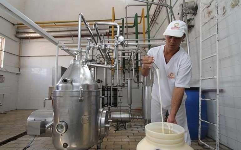 Usina de beneficiamento pode salvar cadeia produtiva do leite em Alagoas