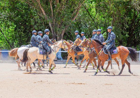 PM forma 10 militares no Curso de Policiamento Montado