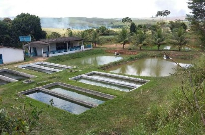 Seagri e município de Rio Largo retomam ações na área de aquicultura