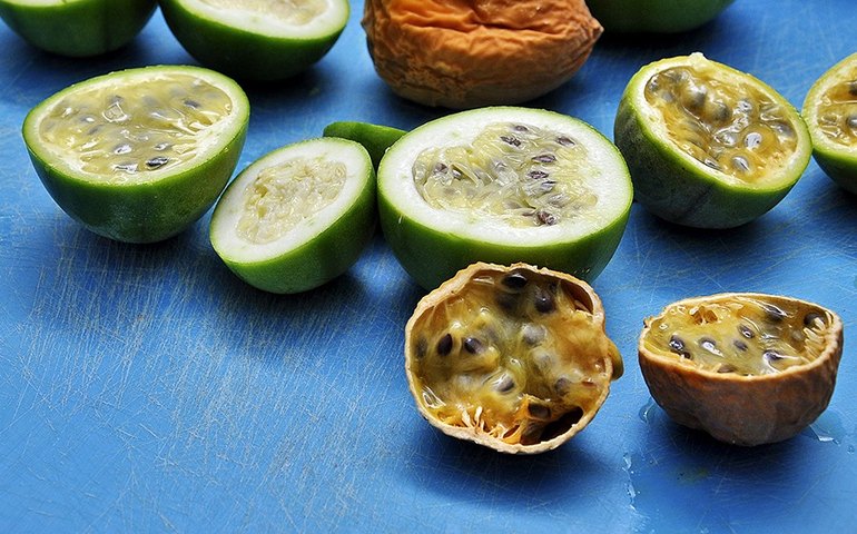 Maracujá-alho reduz tremores como os do mal de Parkinson, diz pesquisa