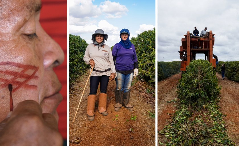 'Raízes da Gastronomia' enfatiza a conexão entre cultura indígena e práticas de agricultura regenerativa