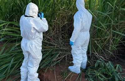 Polícia Científica identifica e libera corpo de filho de empresário de Arapiraca