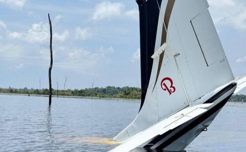 Piloto joga avião com 380 kg de skunk em represa no AM para fugir da FAB