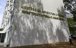 News title