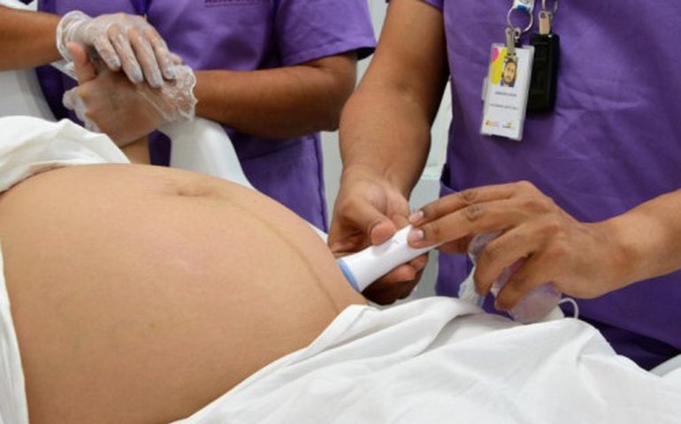 Sesau promove capacitação sobre toxoplasmose gestacional e congênita