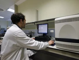 Italiano em quarentena apresenta sintomas de hantavírus após contato com vítima