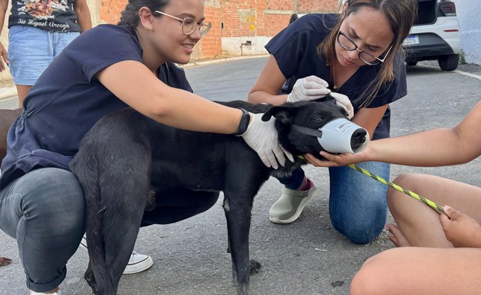 Lei determina que a comunicação às autoridades policiais deve conter informações que permitam a identificação do animal