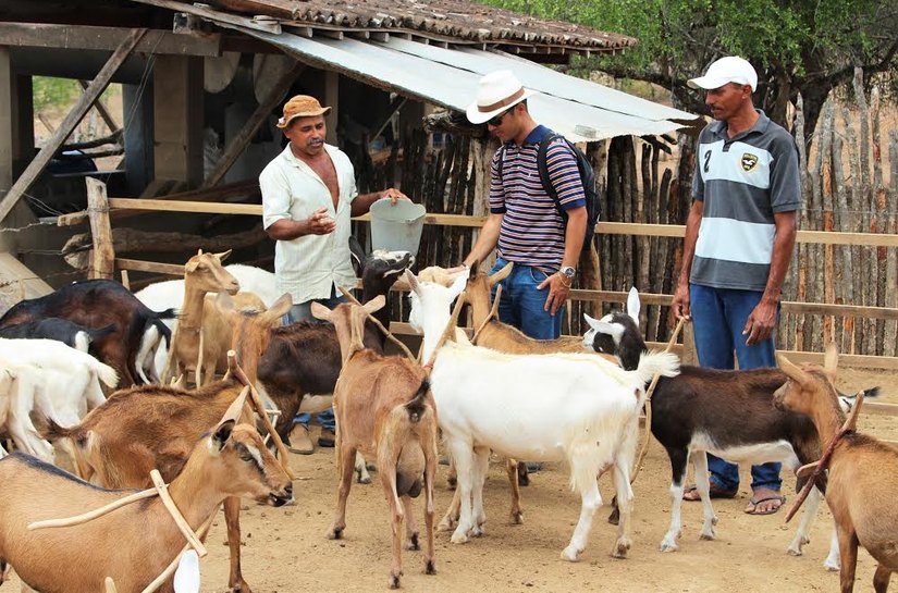 Cafisa conclui registro no Sistema OCB/AL