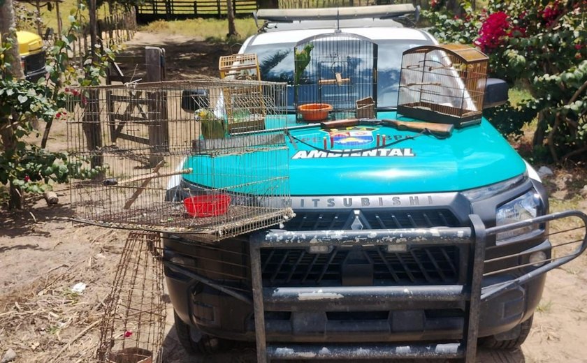Polícia Ambiental apreende animais silvestres e arma em Limoeiro de Anadia