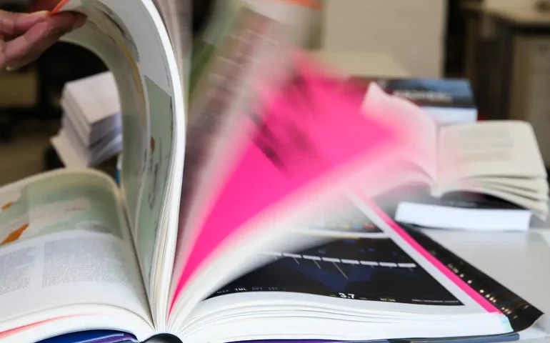 Inconformismo : Uma ponte para o sucesso