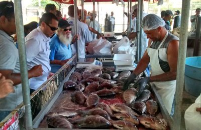 Governo promoverá 5ª Feira do Peixe Vivo no final de março