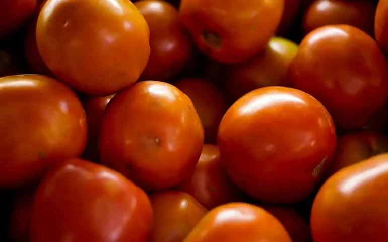 Batata, cenoura, tomate: veja os preços de alimentos que mais caíram em agosto