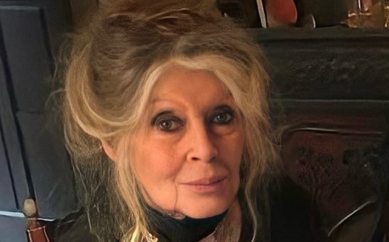 Brigitte Bardot, de 91 anos, é internada em estado grave e passa por cirurgia na França