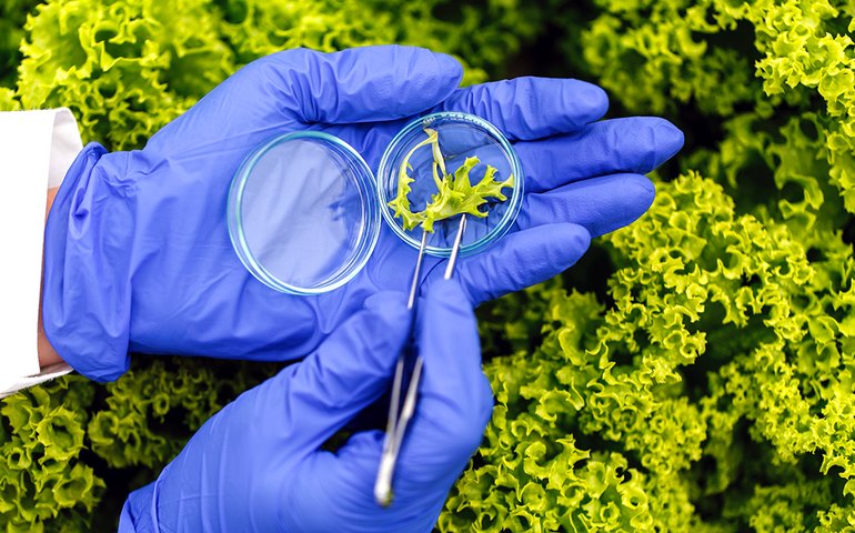 Governo lança política para incentivar o uso de bioinsumos