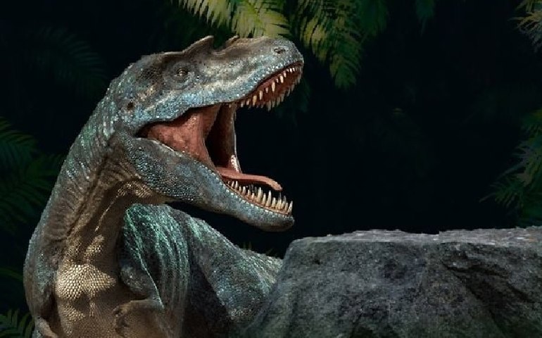 Tiranossauro Rex era tão inteligente quanto babuínos, revela estudo