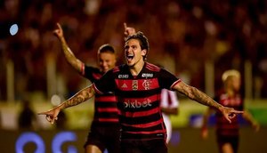 Flamengo / Foto: Foto: Marcelo Cortes/CRF
